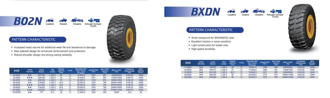 Detailed Tire View 2