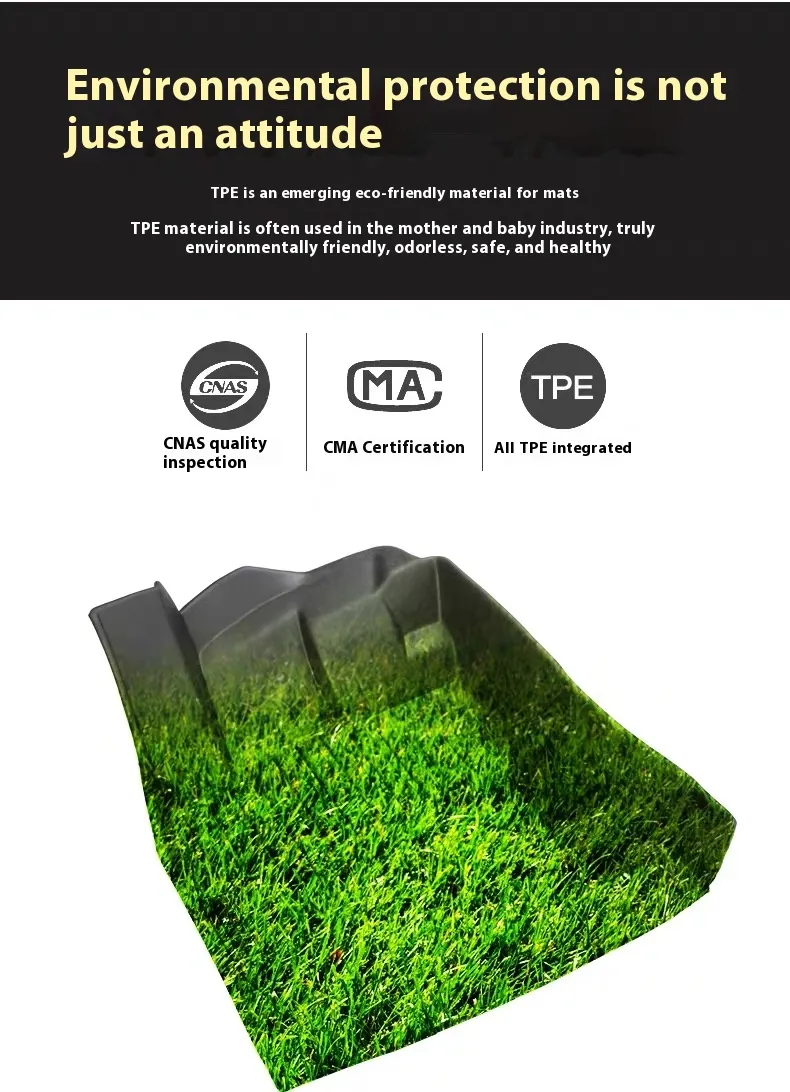 Alfombrillas traseras