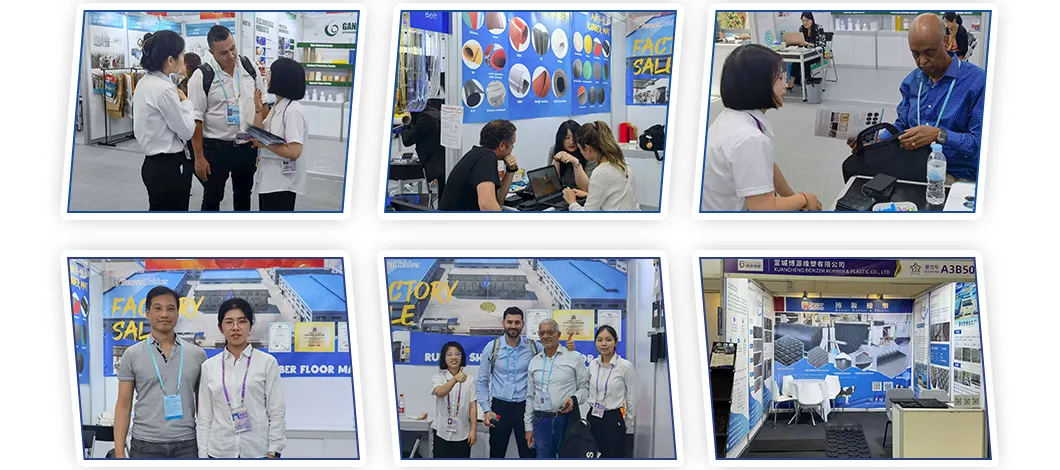 Exposiciones