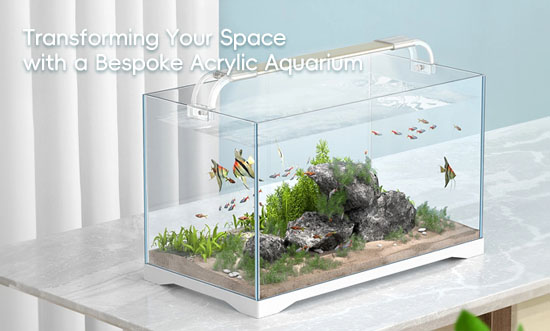 Bespoke acrylic aquarium in a modern interior