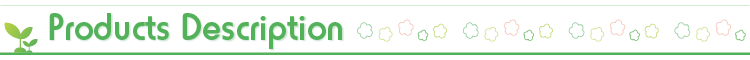 Product Layout Showcase