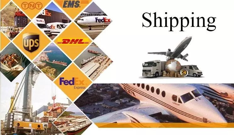 Shipping Logistics Details