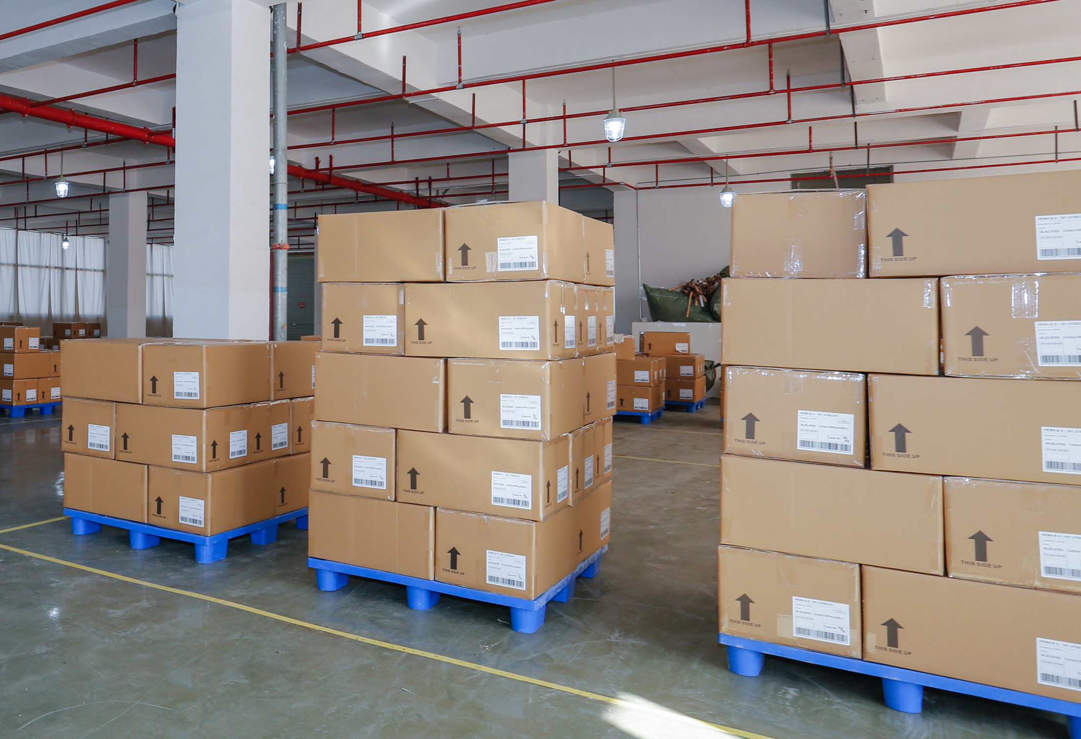 Packaging Process 2