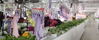 Apparel Craftsmanship