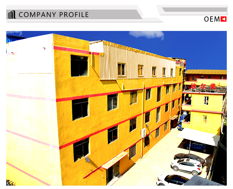 Company Showcase 1