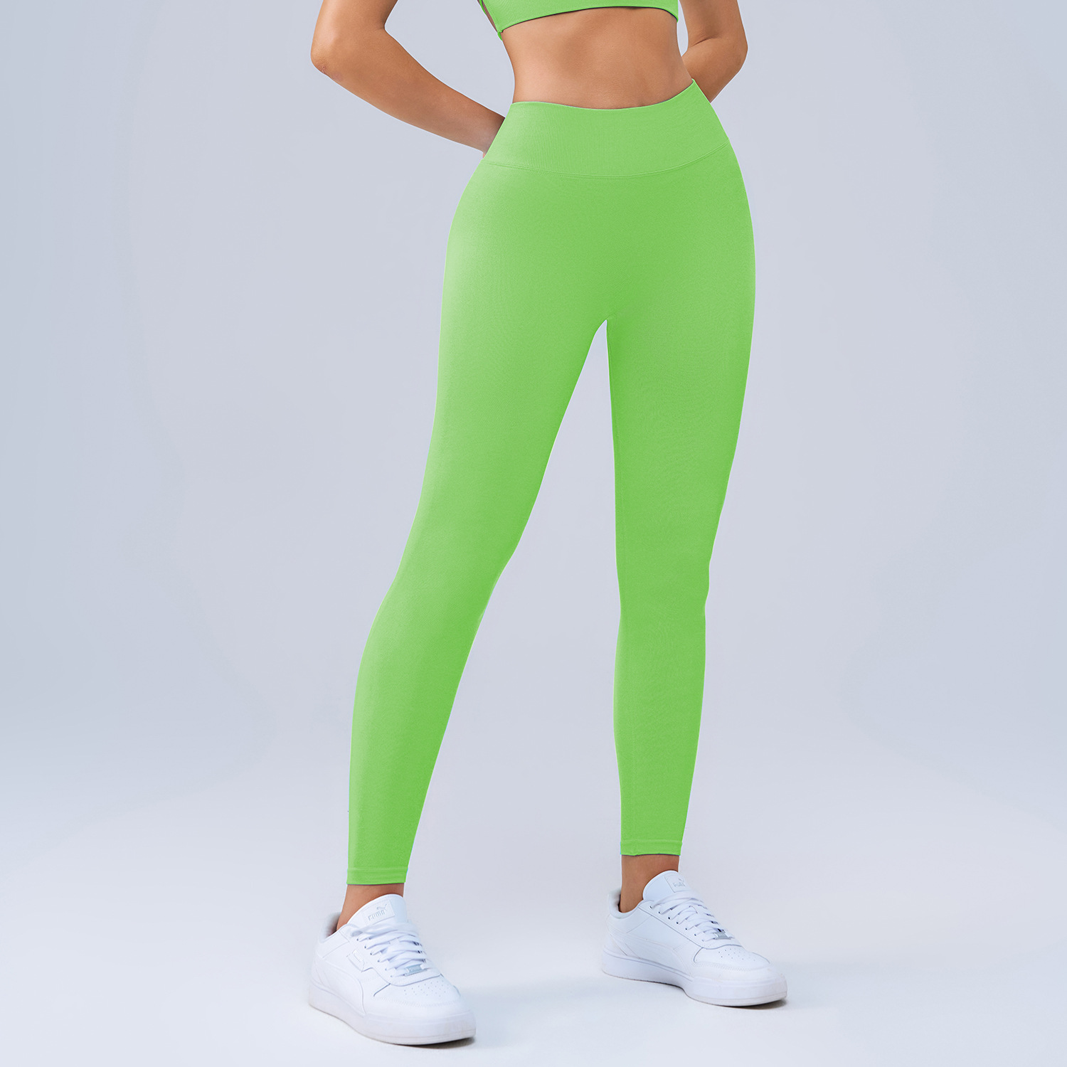 Seamless Quick-Dry Ladies Gym Yoga Leggings New Breathable Tights with Elastic Waist Closure