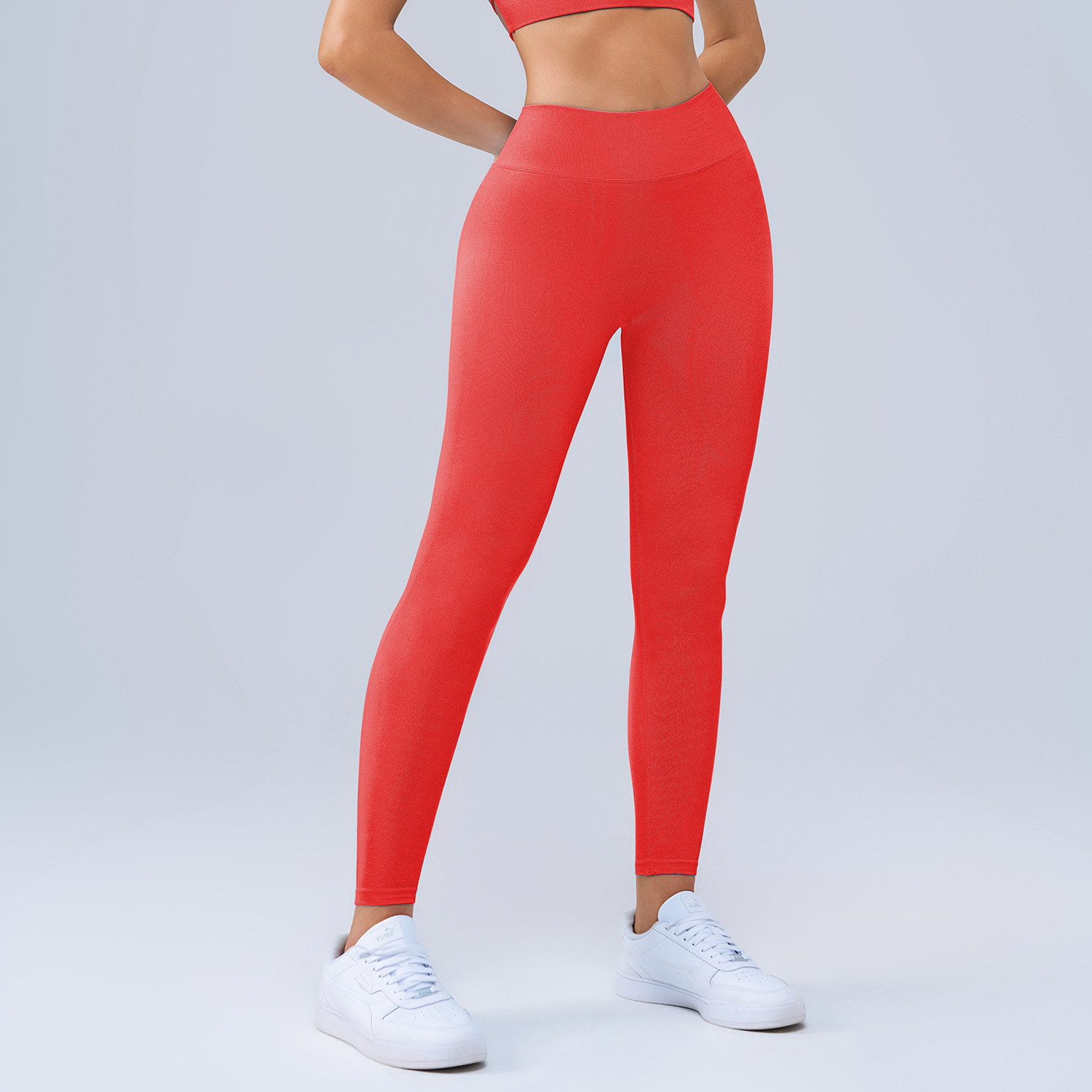 Seamless Quick-Dry Ladies Gym Yoga Leggings New Breathable Tights with Elastic Waist Closure
