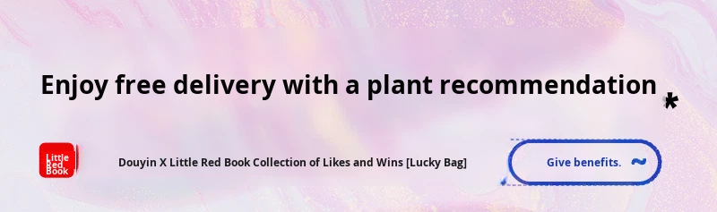 Yoga Pants Banner