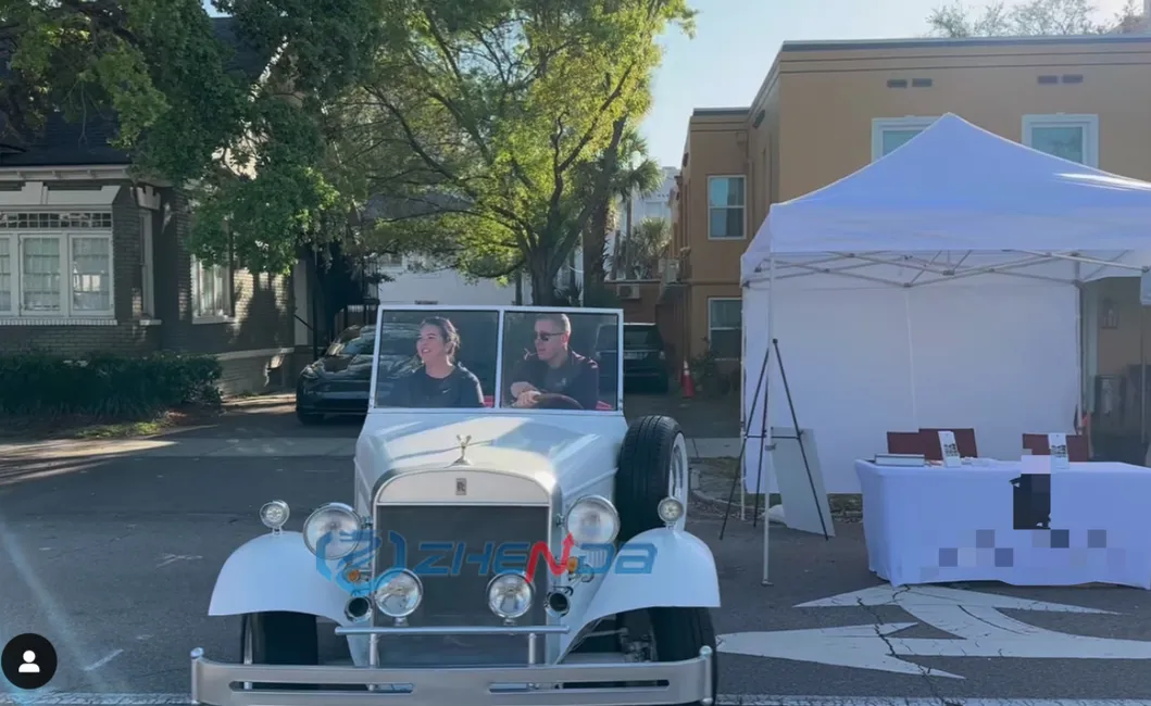 Electric Vintage Buggy Side