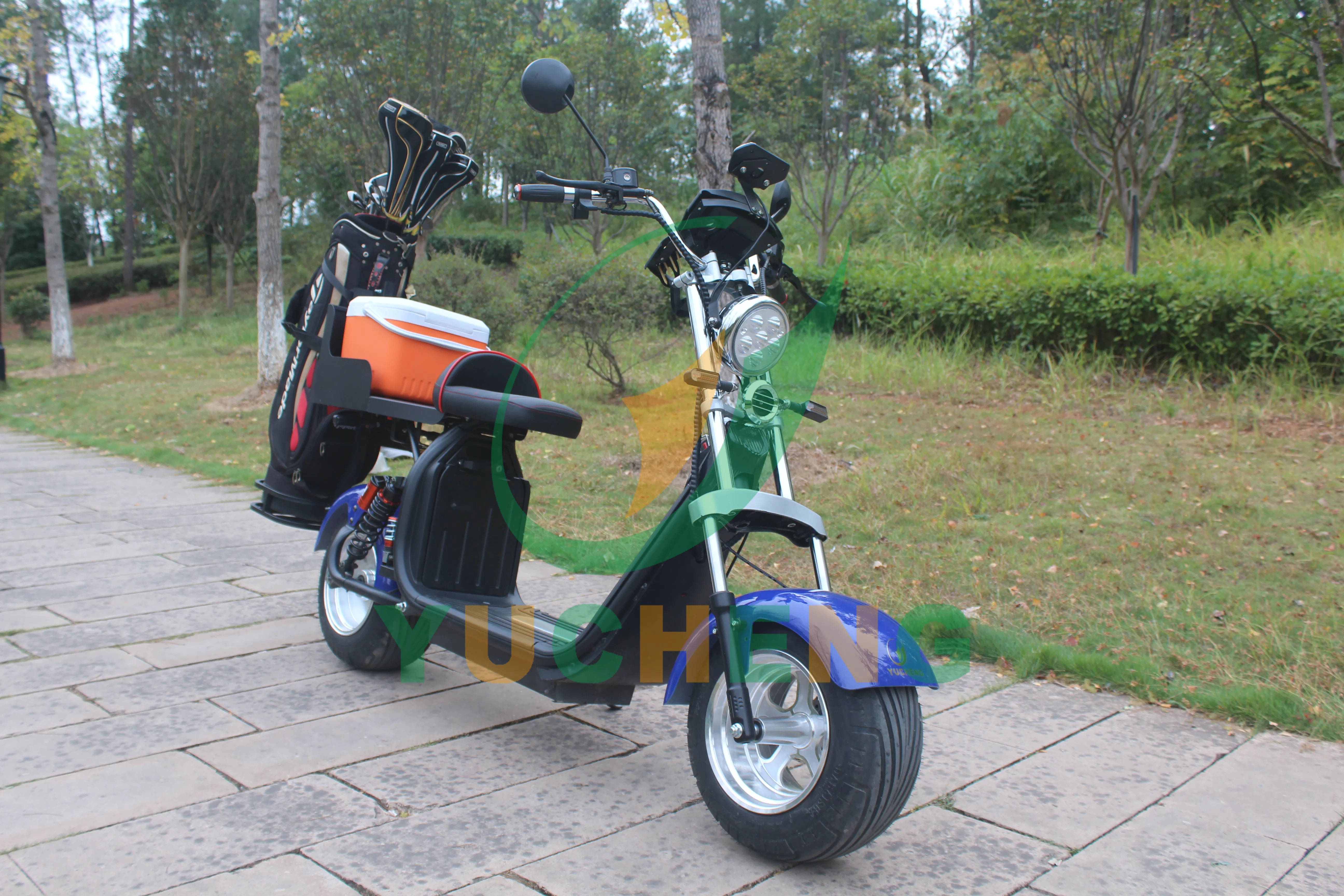 Folding Electric Golf Cart Front Rear Brake