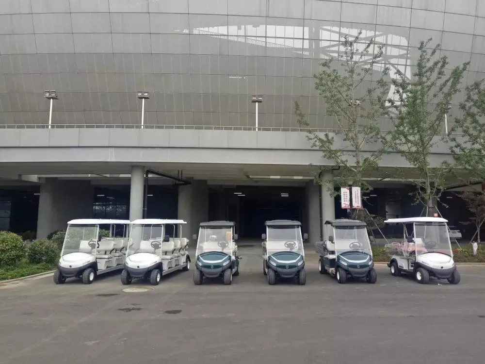 Utility Golf Car Case