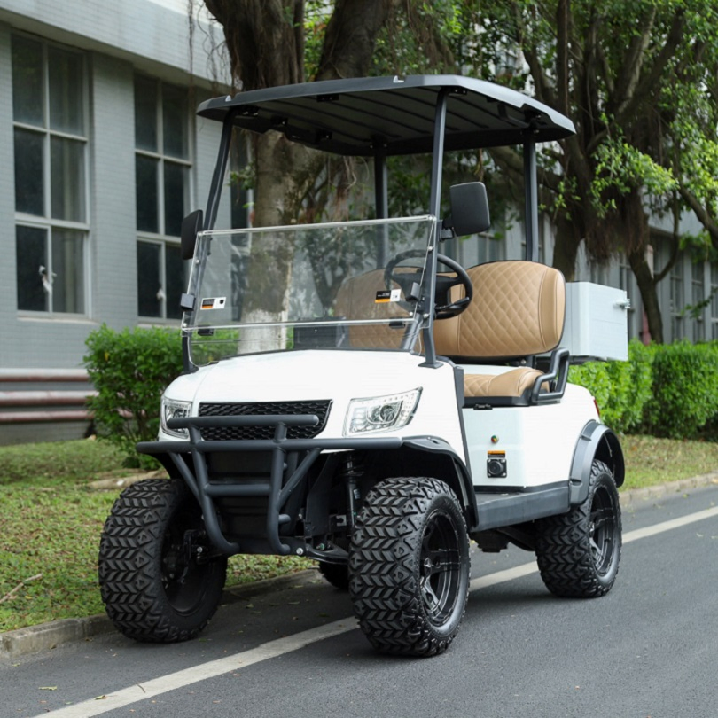 30 Km/H Buggy/Golf Carts Marshell Container CE Gas Golf Cart