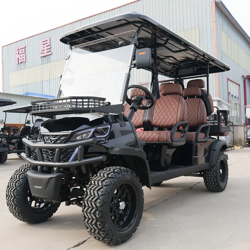 Luxury Electric Golf Cart with Customizable 2 Seat and Professional Use