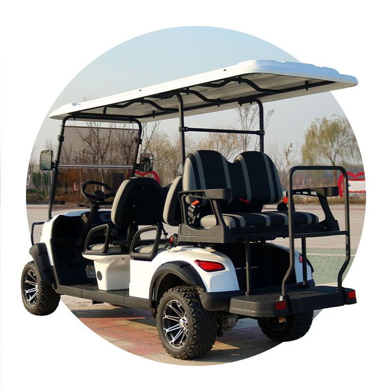 Kinghike 6 Seats Seater Street Legal off Road Customized Electric Golf Carts with Curtis Controller