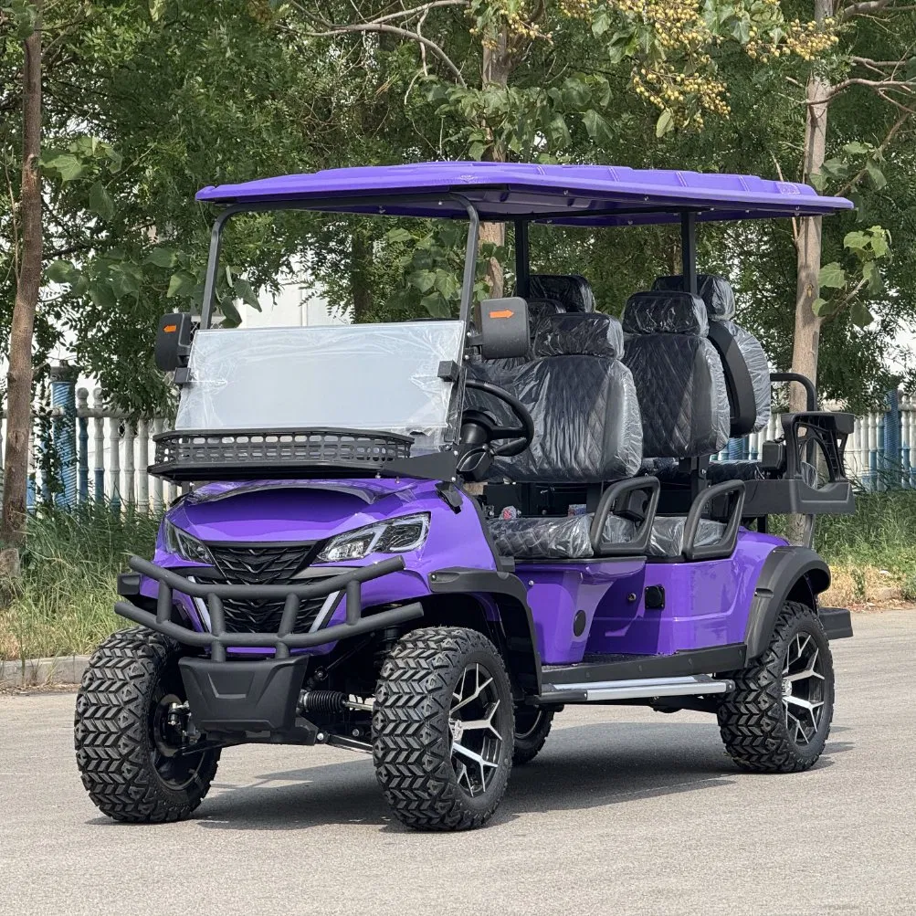 China Best Professional Custom Club 4 Person Car 60V Golf Carts Electric Powered Black 2+2 Seats for Sale