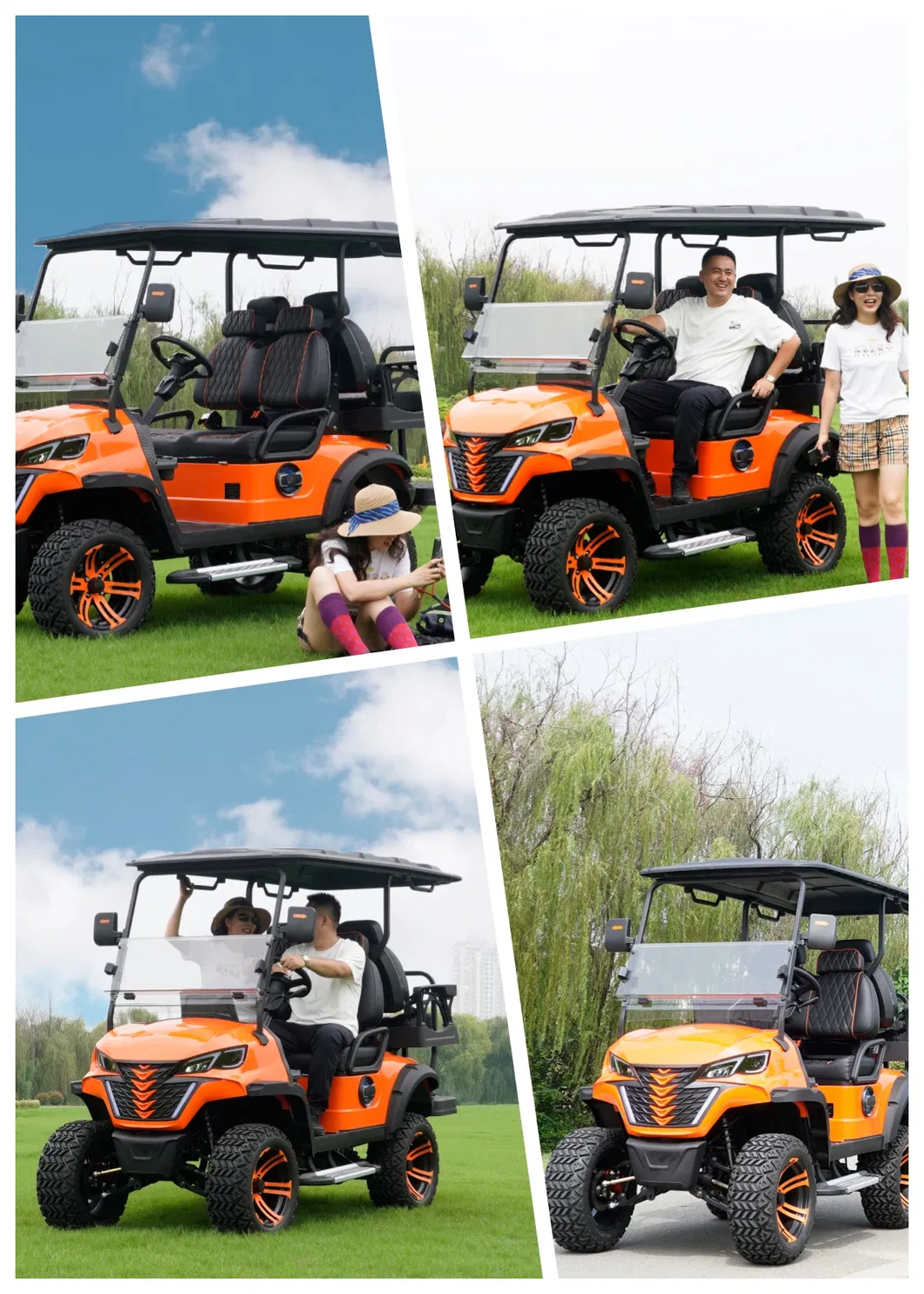 Electric Cart Detailed View