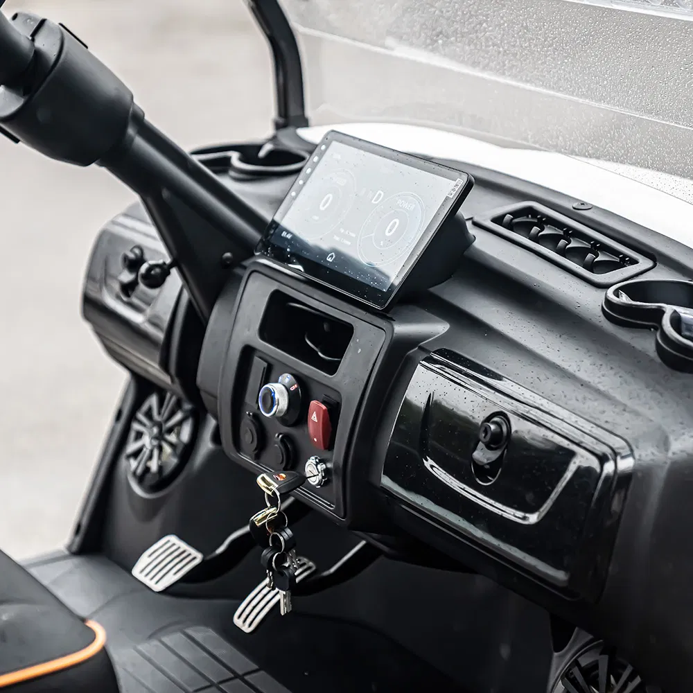 Very Powerful Slope Lifted 6 Person/4 Person Seater Luxury 4WD off Road Street Legal 48/60V Lithium Battery 7.5kw Motor Electric/Gas Buggy Hunting Golf Cart