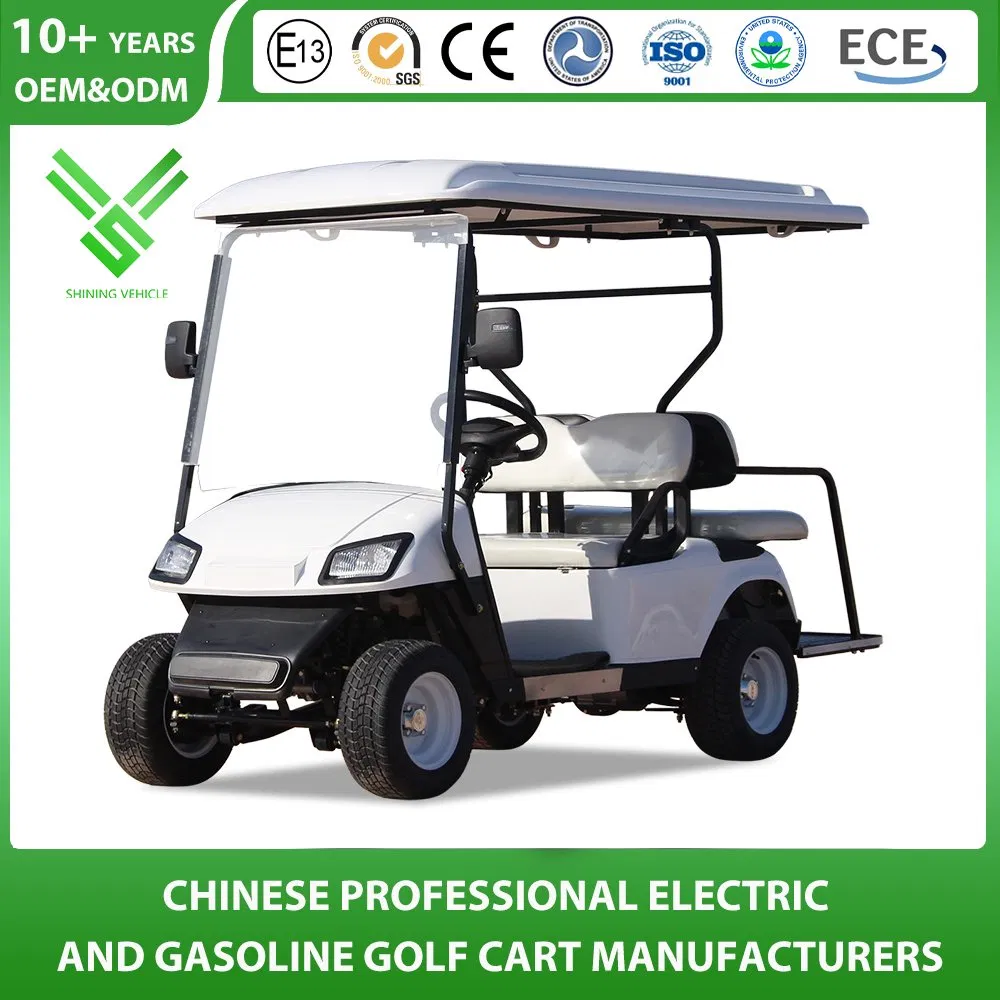 Curtis Controller 4 Seater Classic Electric Golf Cart with Cargo Box for Sale