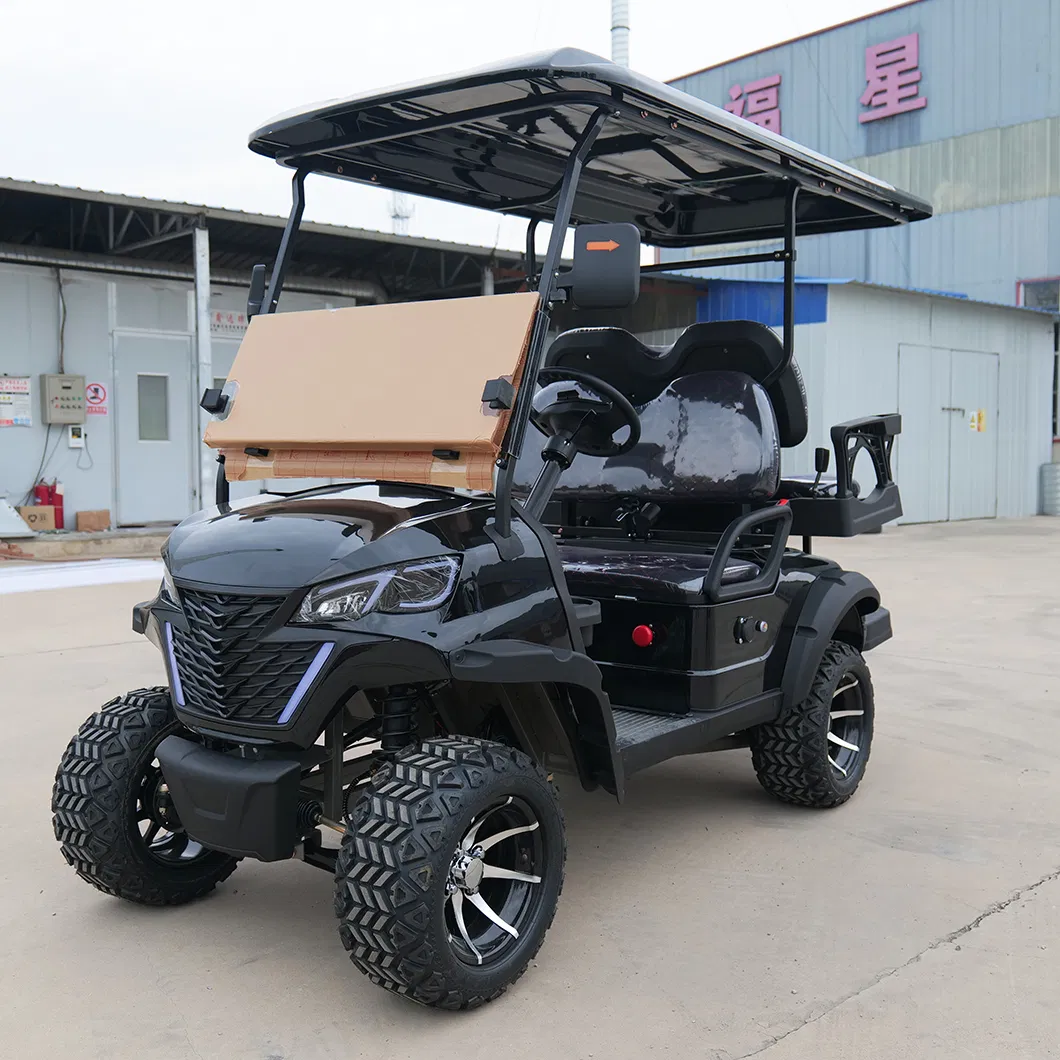 Custom Electric Golf Scooter Adjustable Two-Seater Modern Golf Cart