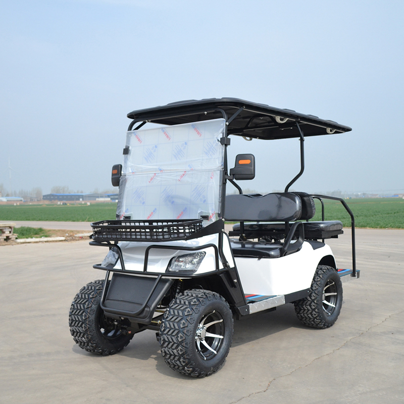 2024 Gas Golf Cart Electric 2+2 4 Seater Cheap Gas Powered Golf Carts