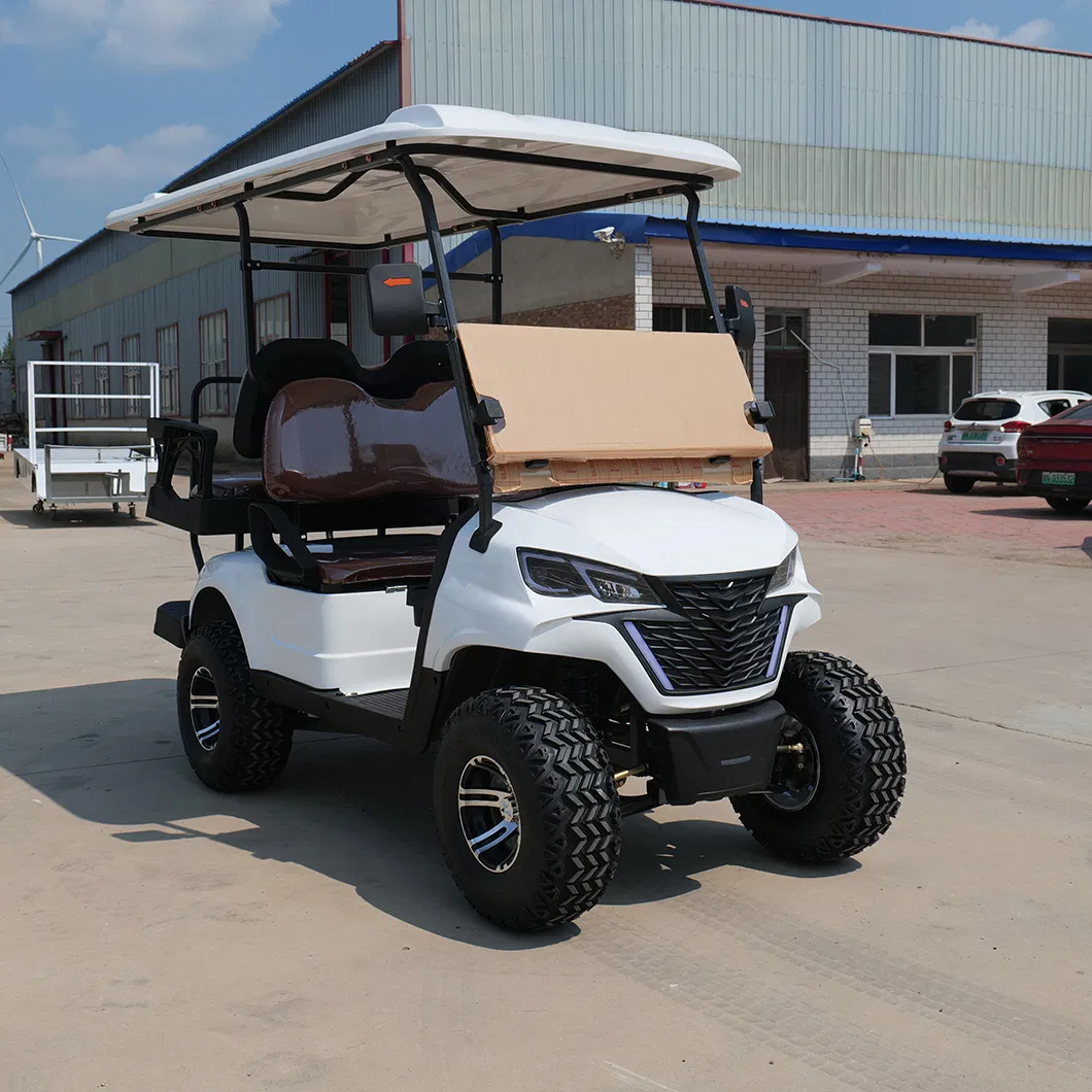 Custom Electric Golf Scooter Adjustable Two-Seater Modern Golf Cart