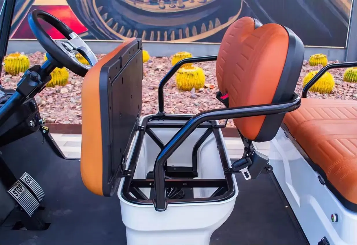 New Product Quality Best Price Classical Vintage Golf Cart Mini Golf Carts From China