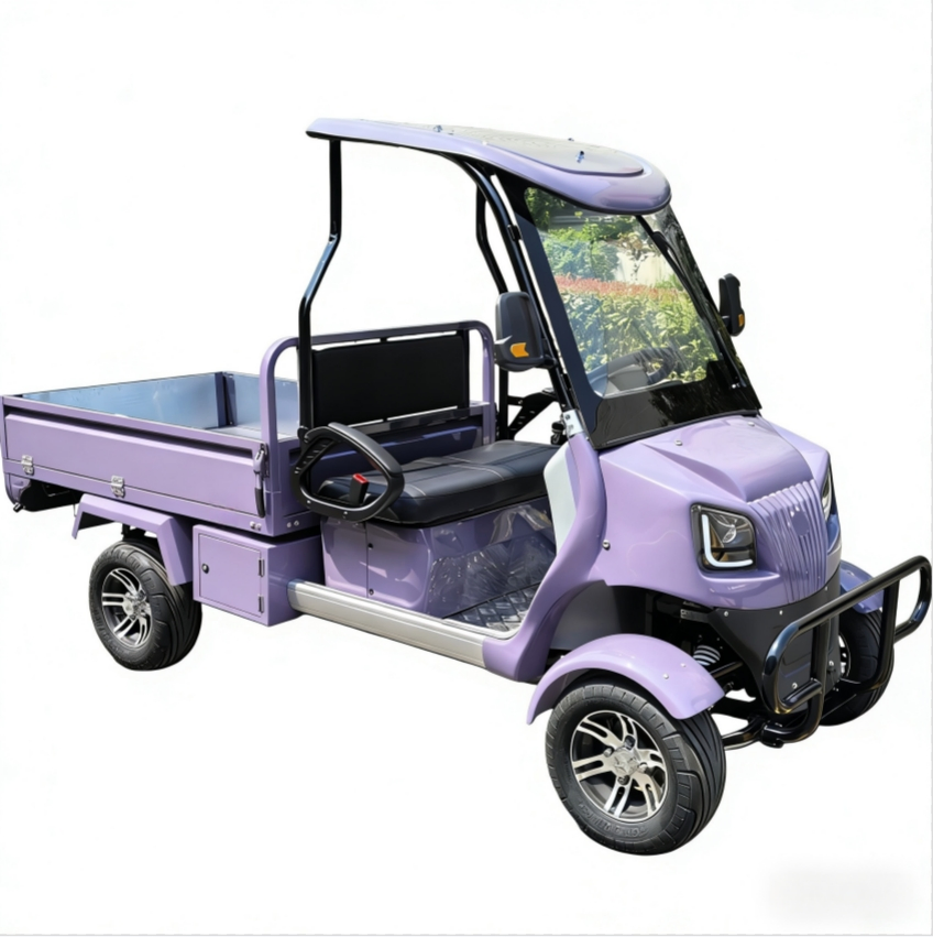 Wholesale CE Approved Adult Battery Operated 60V2500W Electric Golf Cart with Cargo Box