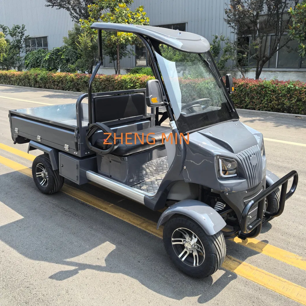 Electric Golf Cart Lighting