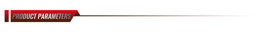 Electric Buggy Car detail