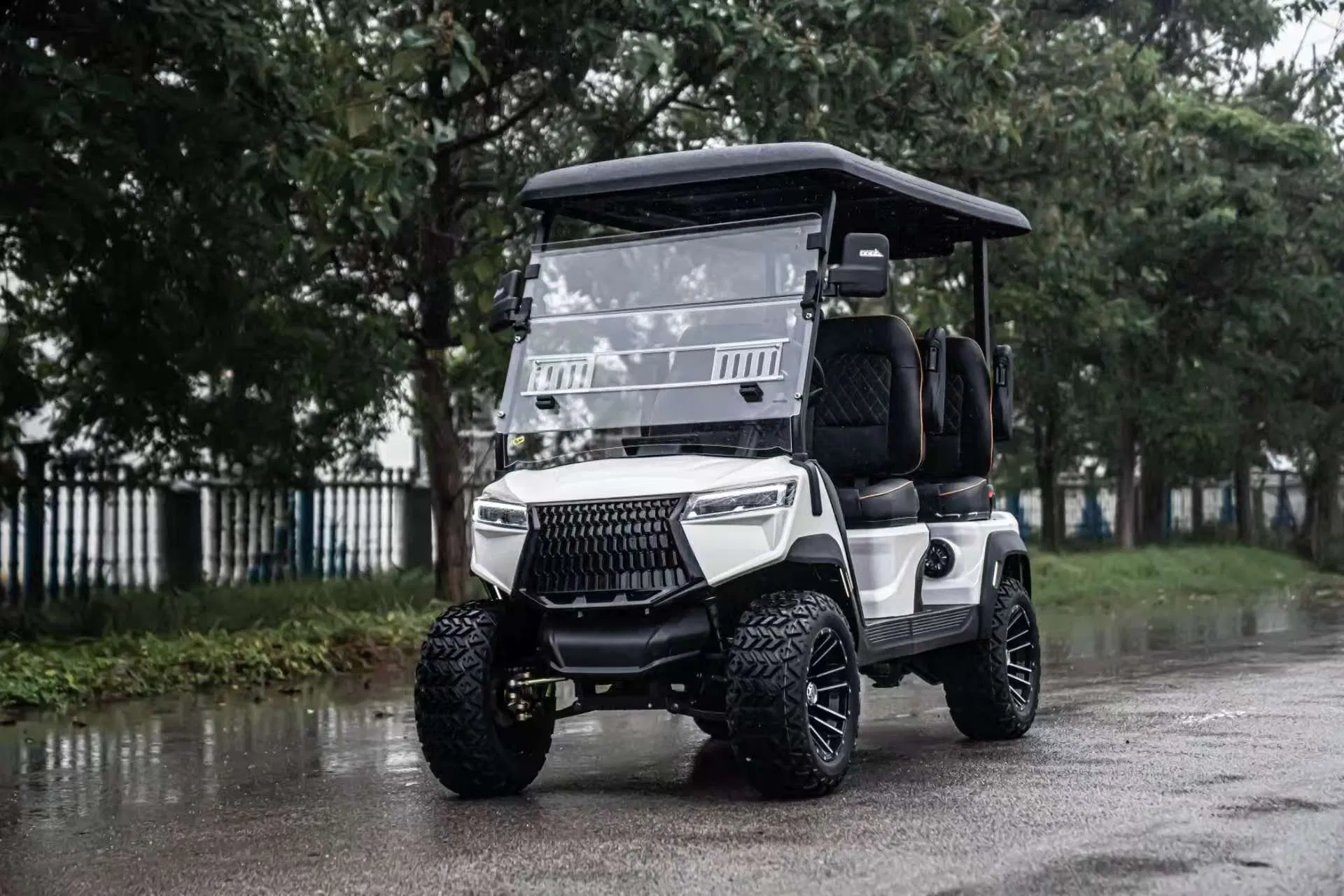 High-End Luxury Performance Electric Golf Cart with Adjustable Comfort Seat