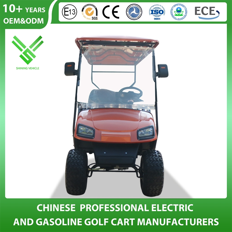 Shining Brand 8 Seat Electric 48V Seat Can Flip with Storage Box Golf Cart