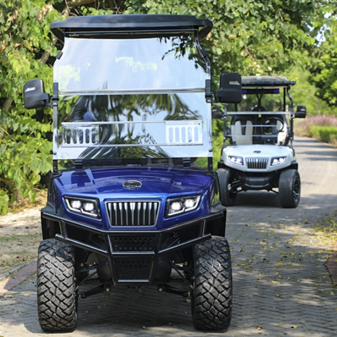 Factory New Hdk Evolution Electric Lithium Battery D5 4 Seater Golf Cart