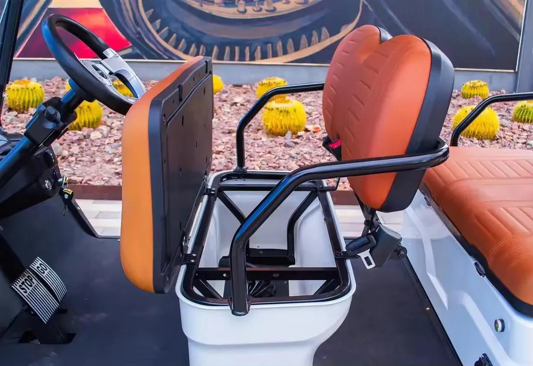 Mini Golf Cart Details