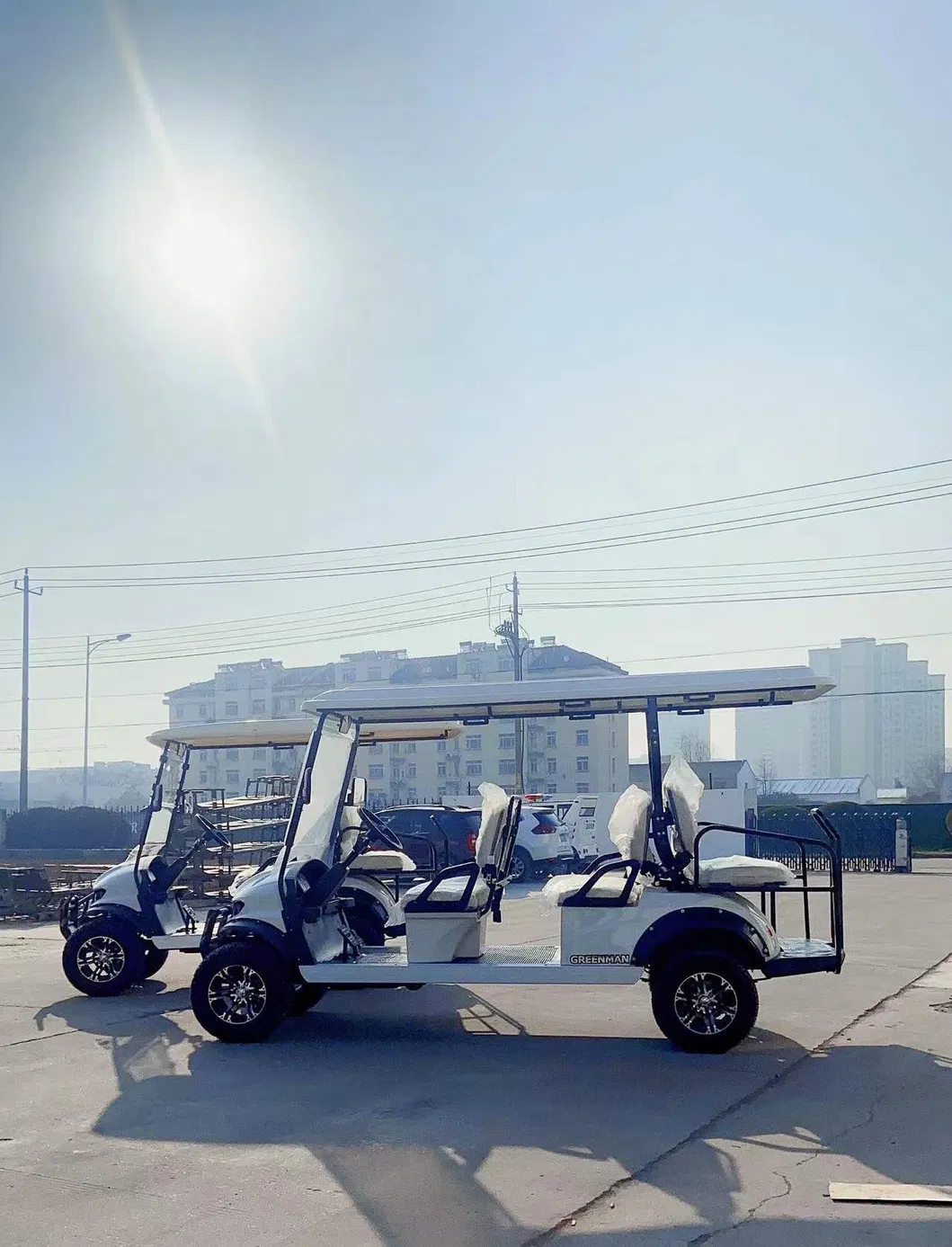 Electric Golf Car Detail 3