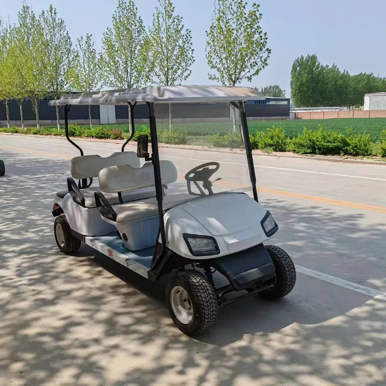 Electric Mini Golf Cart for Adults Fast &amp; Efficient with 48V Battery