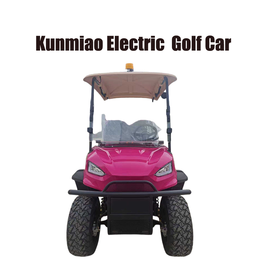 Factory Price Luxury 2 Seater with Cargo Box Comfortable Electric Golf Cart