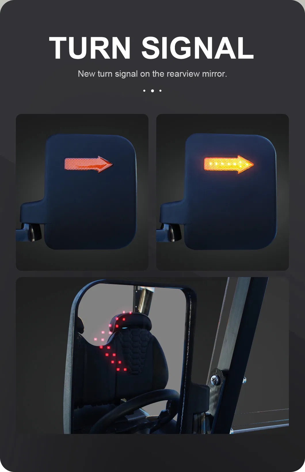 Electric Vehicle Detail