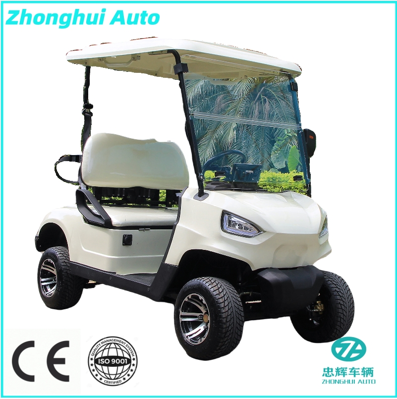 Custom Features and Driving Range Powerful Gasoline Golf Cart