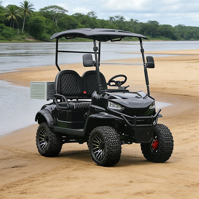 Electric Sightseeing Bus 2 4 6 8 10 Seater Battery Operated Golf Cart with Cargo Box