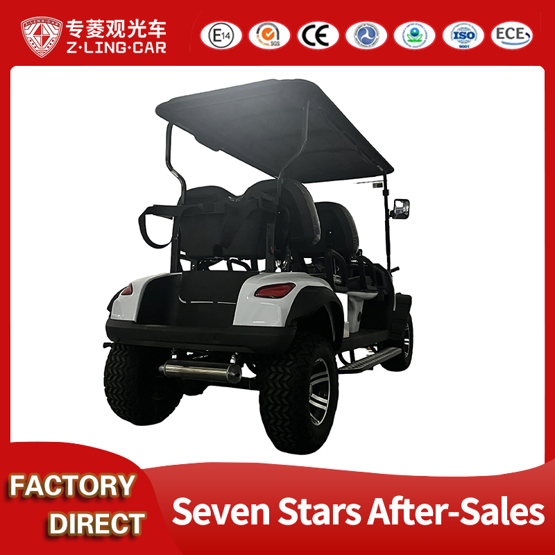 Premium Custom Golf Carts and Parts for Global Distribution