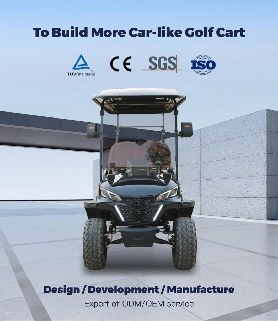 Electric Golf Cart View