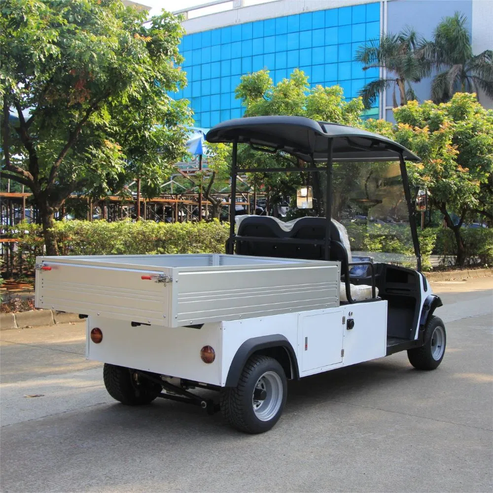 Electric Utility Cart with Fixed Cargo Box 48V Motor 2 Seater Golf Cart Mini Truck