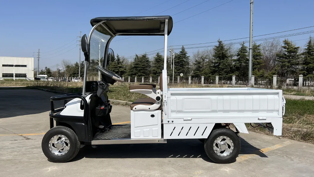 Electric Golf Cart View 2