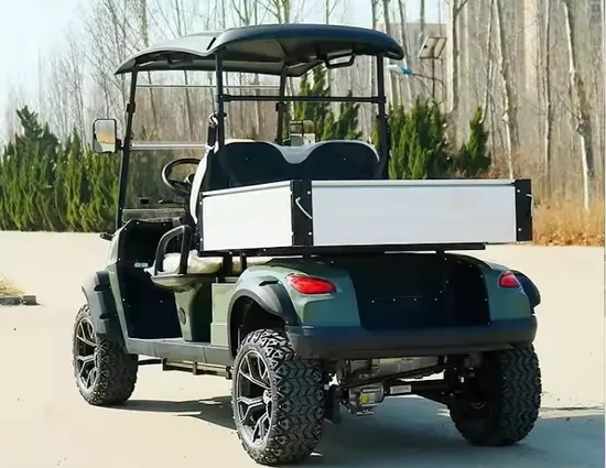 2 Seater Classic Electric Golf Cart with Cargo Box for Sale