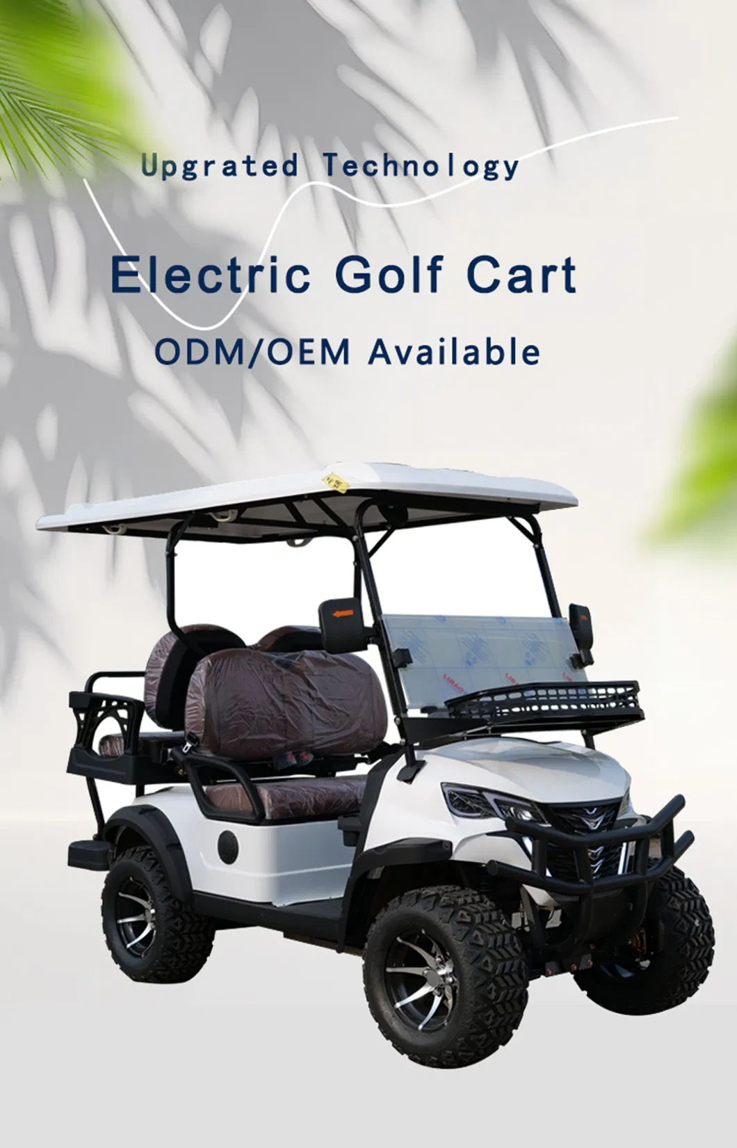 Electric Golf Scooter Features 1