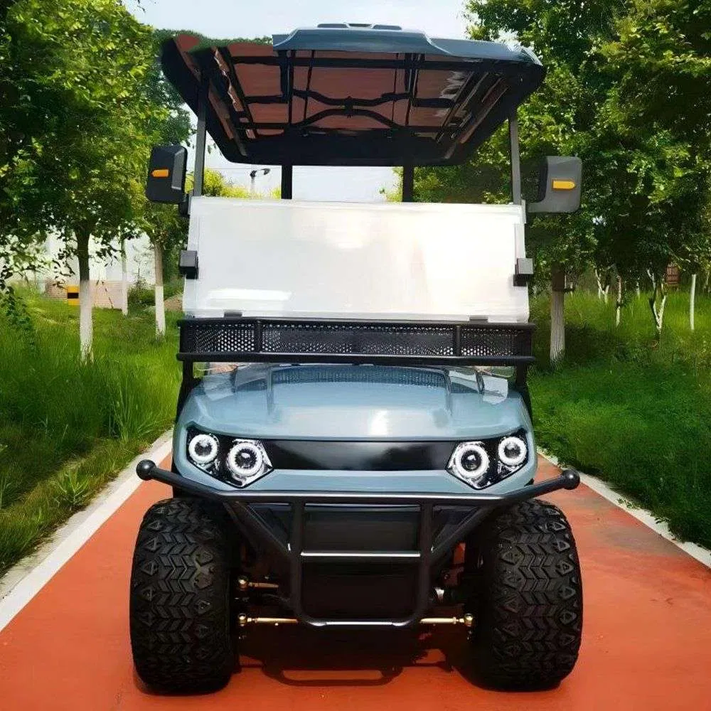 Premium Powered Street Available 2/4/6/8 Seater International Buyers Lithium Lead Acid Battery Sightseeing Hunting Electric Golf Cart