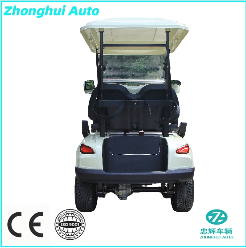 Custom Features and Driving Range Powerful Gasoline Golf Cart