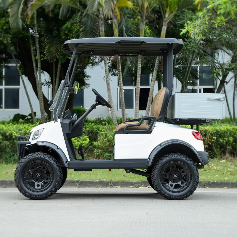 30 Km/H Buggy/Golf Carts Marshell Container CE Gas Golf Cart