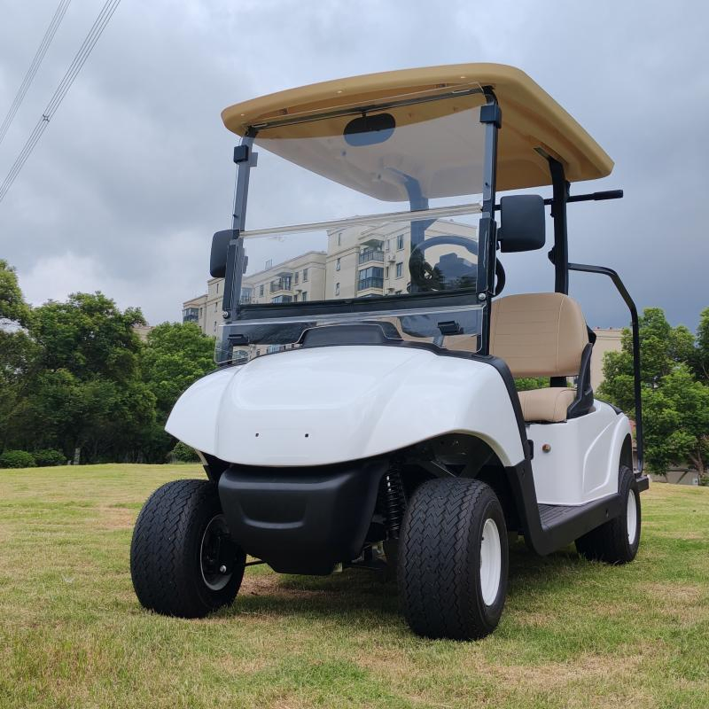 Stylish Two-Passenger Golf Cart From Maker for Luxury Hotel Shuttles