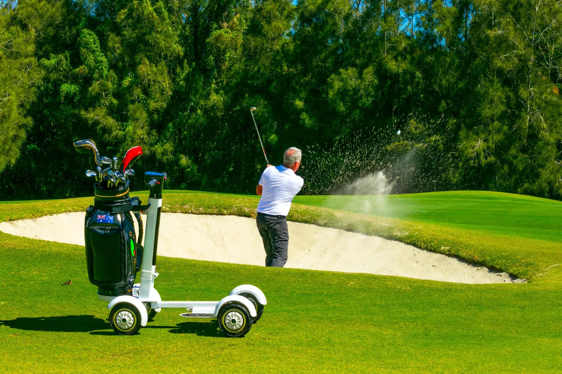 Electric Golf Scooter